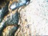 Snapshot_20110730.JPG