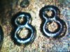 Snapshot_20110730_1.JPG