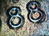 Snapshot_20110730_4.JPG