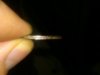 IMG00117-20110730-1354.jpg