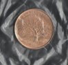Gold colored 1999 quarter (1).jpg