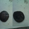coin5.jpg