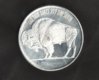 Buffalo silver coin (2).jpg