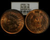 1908 Small Cent.jpg