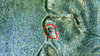 JPG00013.JPG