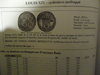 DSC09511.JPG