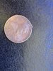 89C5DCF2-ECB6-4FED-B482-FBD4C2E10615.jpeg