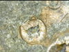 Screenshot_20201216-191234~2.png