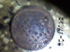 IMG0058A.jpg