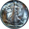 new4565.jpg