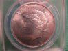 1928 obverse.jpg