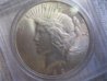peace dollar.jpg