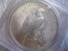 peace dollar tails.jpg