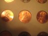 2011 sheild errors 005.jpg