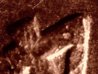 Img00019.jpg