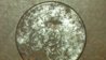 2011-08-10_12-38-26_692.jpg