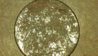 2011-08-10_12-38-58_385.jpg