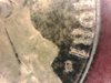 Proof Nickel 1981.jpg