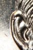 grant ear 1 (Large).jpg