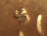 100_2992.jpg