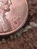 IMG_20201225_153123960.jpg