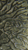 E92800A7-9C58-42BF-8F8E-B98221F6ABF5.png