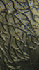 529AADE9-6CDB-48C4-99FD-9B639C175FBF.png