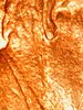 WIN_20201231_07_19_29_Pro.jpg