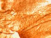 WIN_20201231_07_19_26_Pro.jpg
