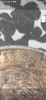 Screenshot_20210102-225402.png