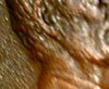 WIN_20210105_23_59_50_Pro.jpg