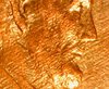 WIN_20210106_00_01_03_Pro.jpg