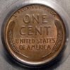 1915srev.JPG