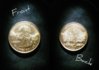 Gold quarter camera pics.jpg