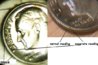 1984p reed error.JPG