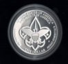 Scanner image of BSA coin (1).jpg