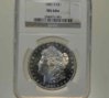 1882 s morgan slab.jpg