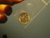 Possible 1969 proof dime back.jpg