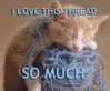 i_love_this_thread_113.jpg