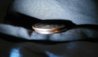Dollar coin edge (2).jpg