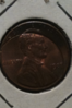 photo 1.PNG