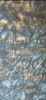 A77095F1-B2F1-4EF0-9B48-DE0C6C627DD5.png