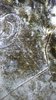 Image_2021-01-16 18_17_41_140.JPG