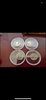 roman coins.jpg