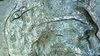 C601441F-FCBA-463C-A30B-65B96623D4CA.jpeg