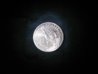 2011 dollar coin back.jpg