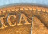 closeup.jpg
