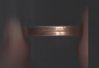 Dollar coin error edge (1).jpg