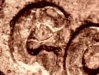 Img00006.jpg