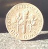 dime back.jpg